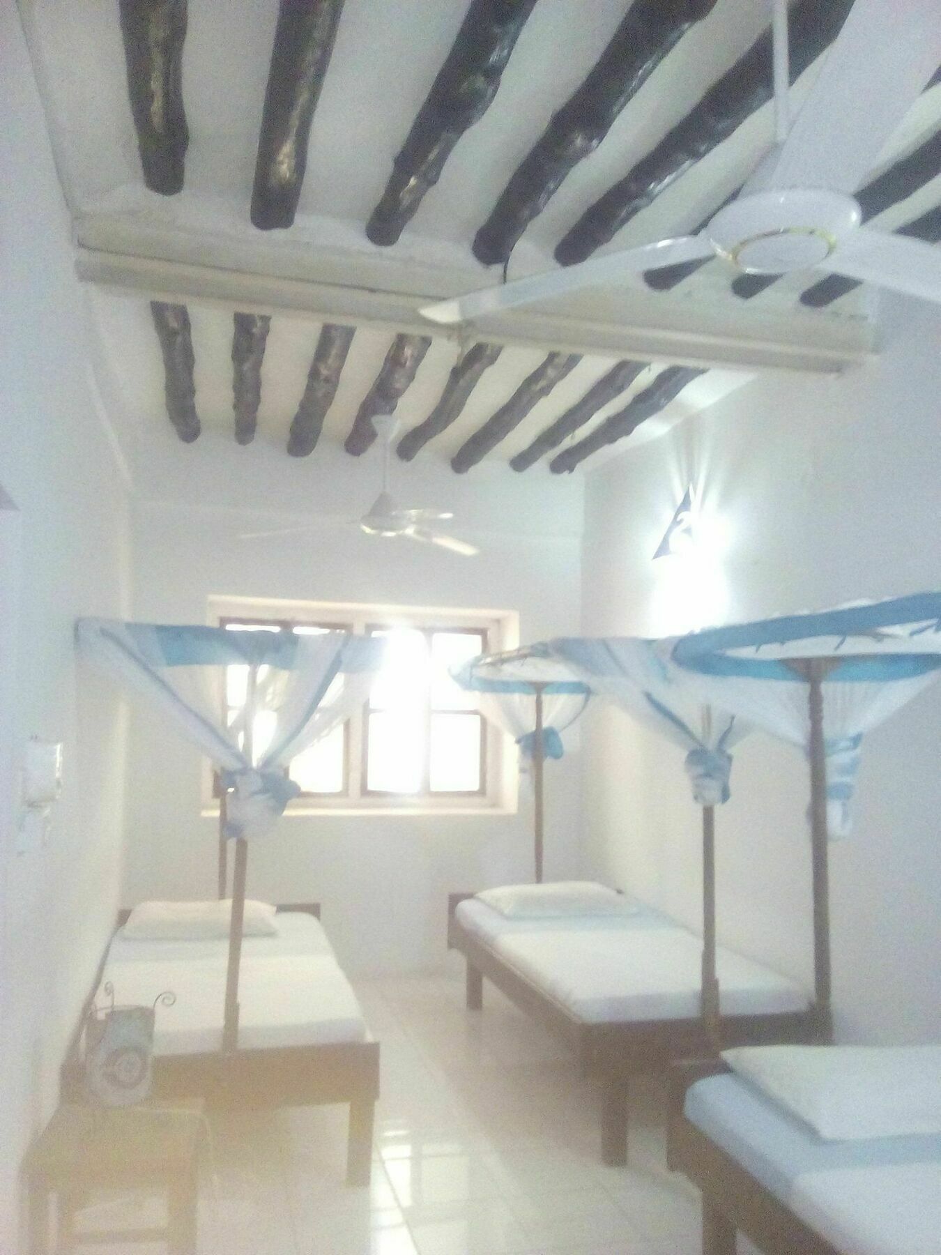 Kiponda B&B Zanzibar Bagian luar foto